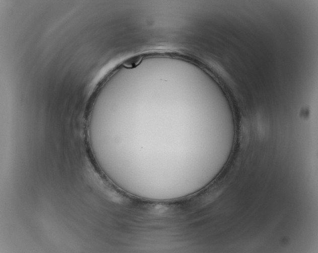 X0000112481412200909071146