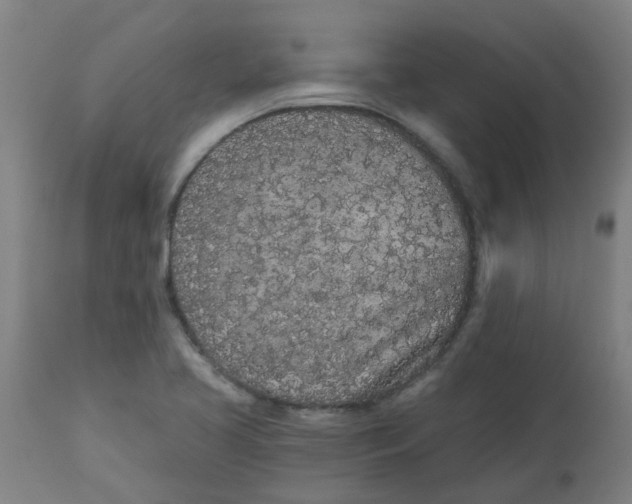 X0000112481413200909071146