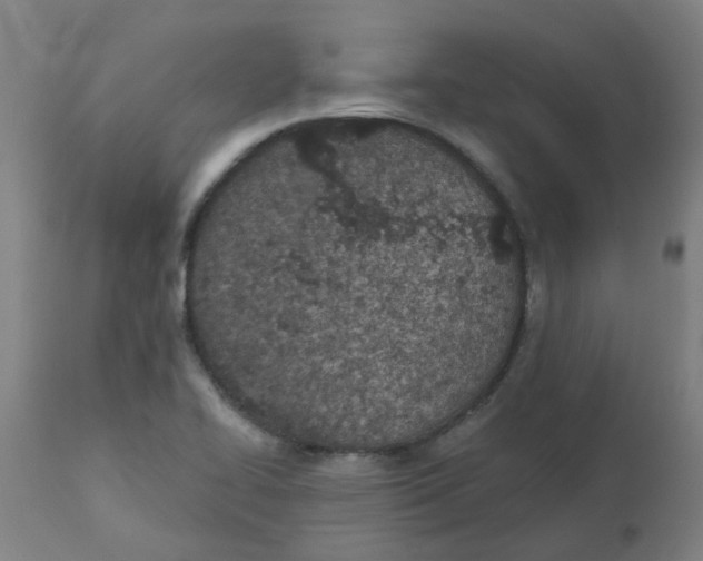 X0000112481414200909071146