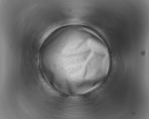 X0000112481415200909071146