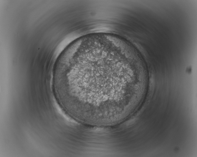 X0000112481418200909071146