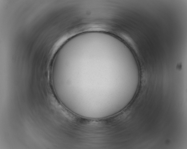 X0000112481419200909071146