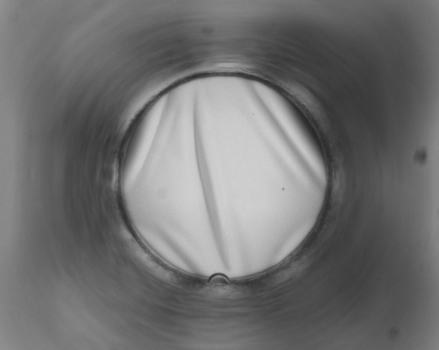 X0000112481420200909071146