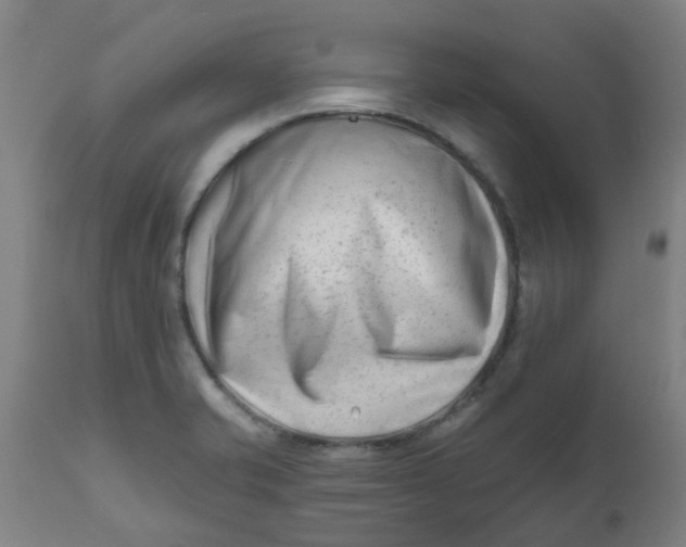 X0000112481421200909071146