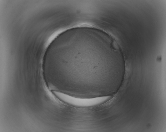 X0000112481422200909071146