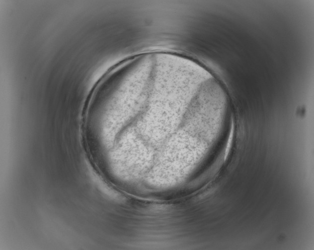 X0000112481423200909071146