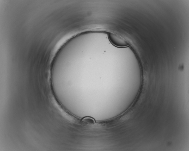 X0000112481424200909071146