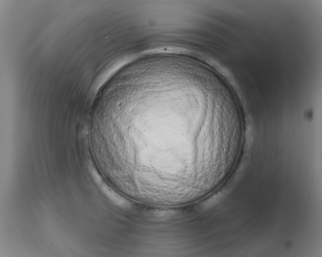 X0000112481425200909071146