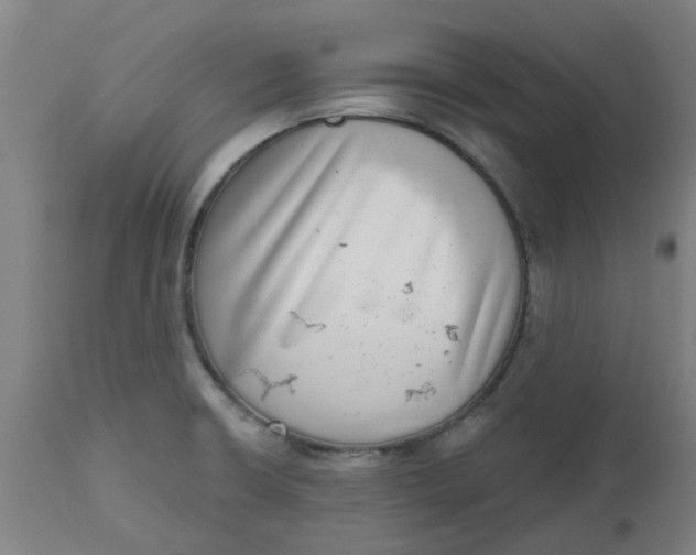 X0000112481426200909071146