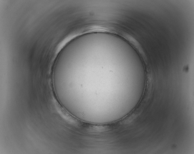 X0000112481427200909071146