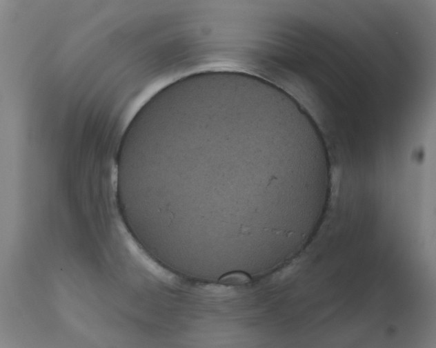 X0000112481428200909071146