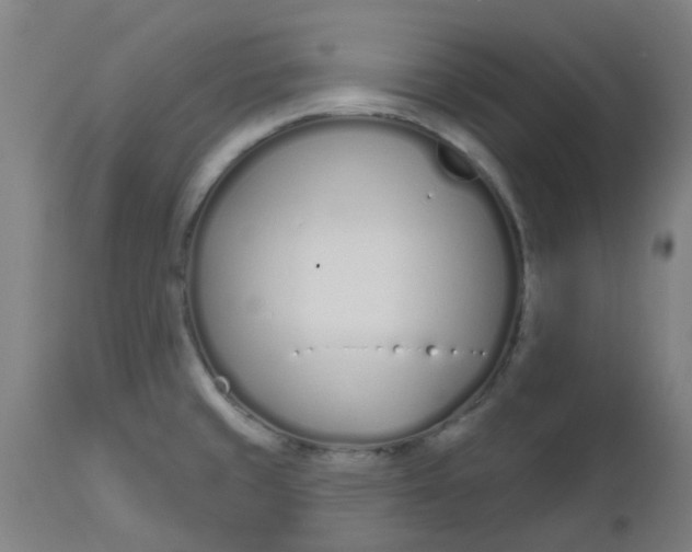 X0000112481429200909071146