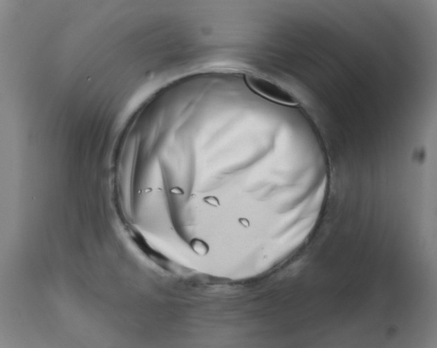 X0000112481430200909071146