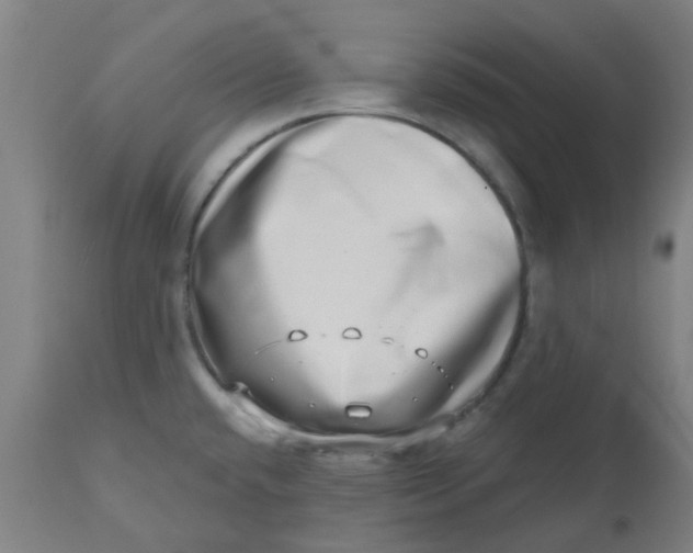 X0000112481432200909071146