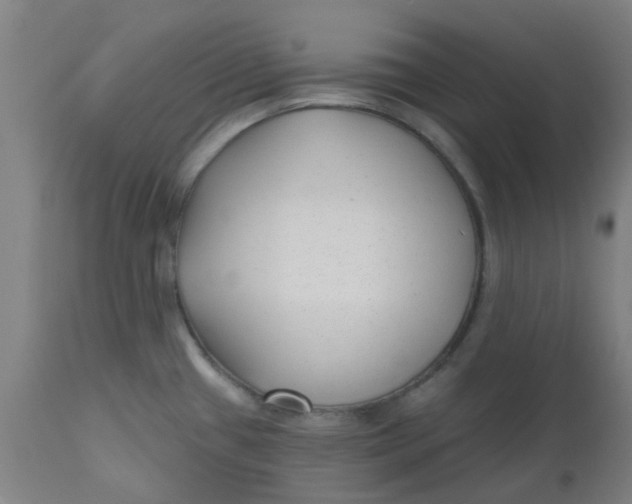 X0000112481433200909071146