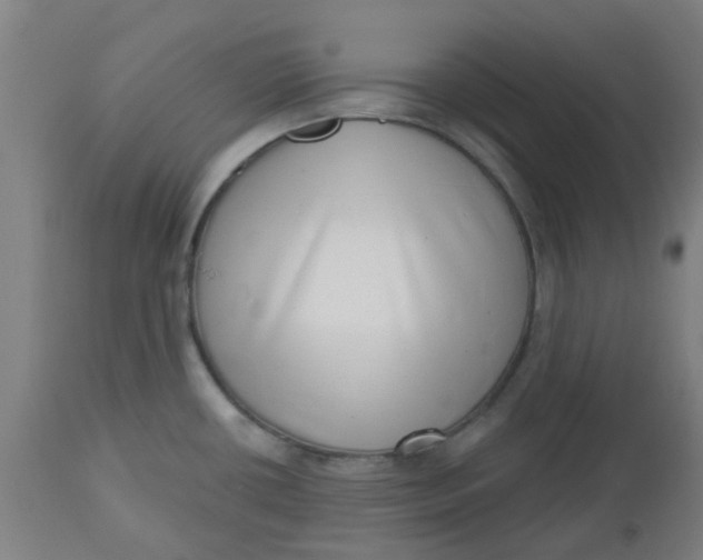 X0000112481434200909071146