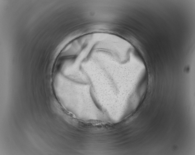 X0000112481435200909071146