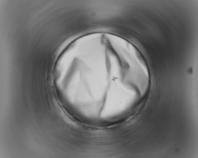 X0000112481436200909071146