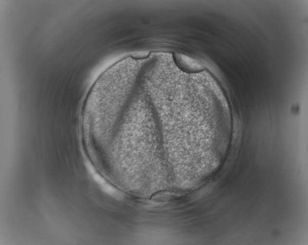 X0000112481439200909071146