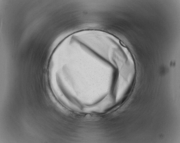 X0000112481440200909071146