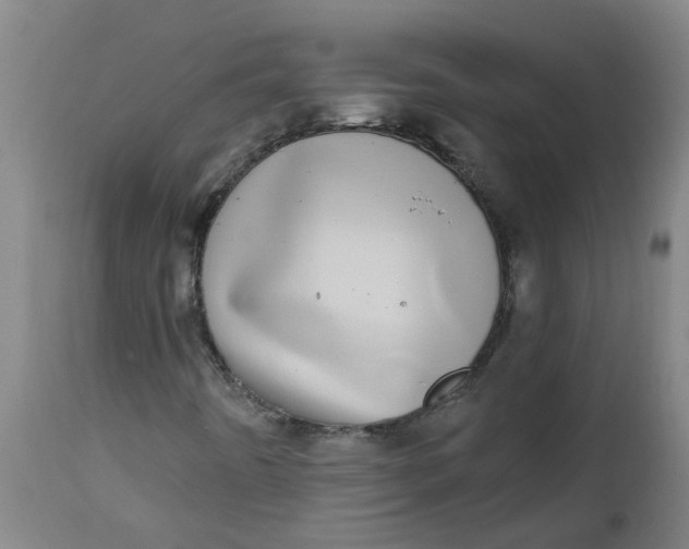 X0000112481442200909071145