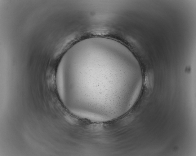 X0000112481444200909071145