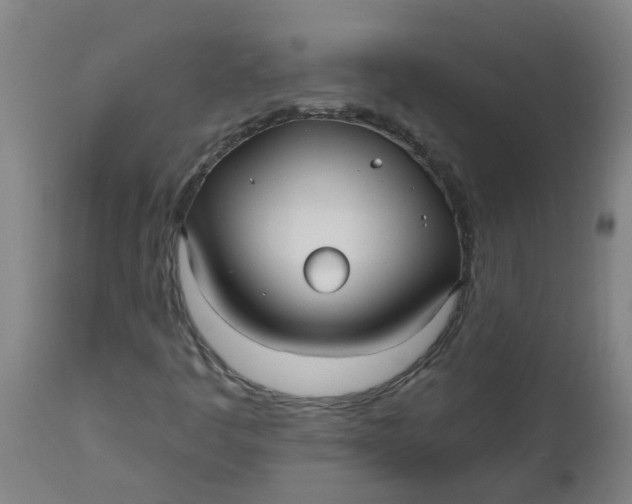 X0000112481445200909071145