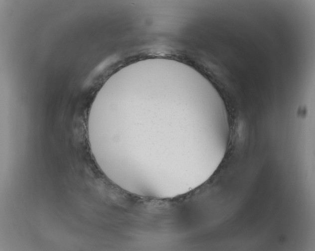 X0000112481446200909071145