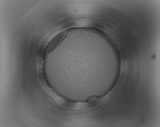 X0000112481449200909071145