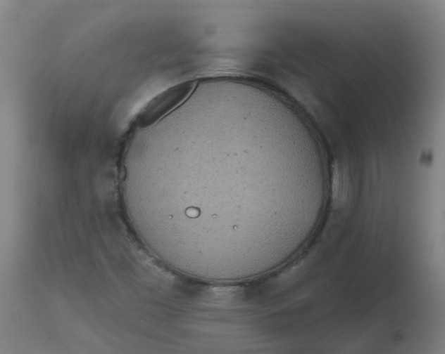 X0000112481453200909071145