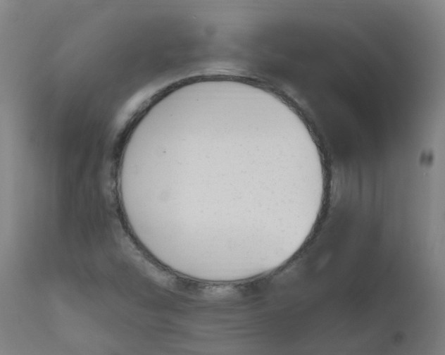 X0000112481454200909071145