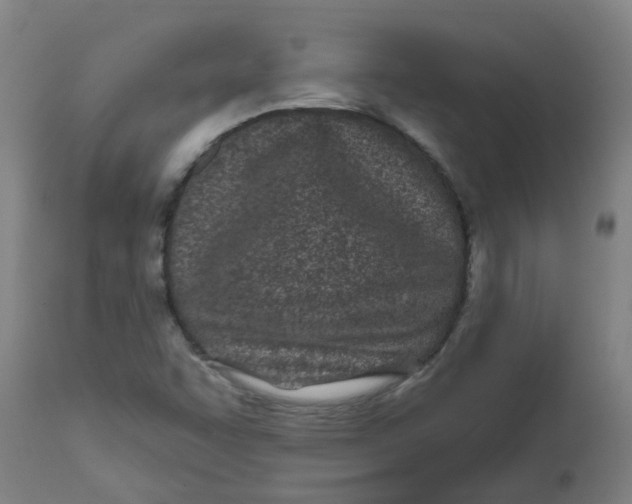 X0000112481455200909071145