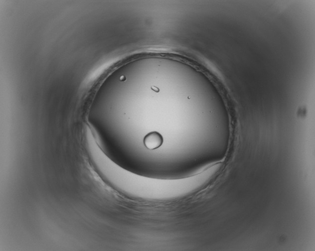 X0000112481456200909071145