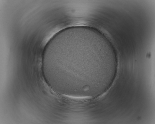 X0000112481457200909071145