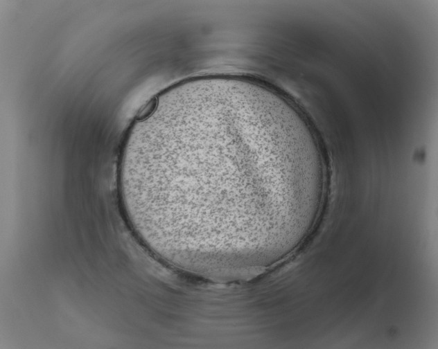 X0000112481459200909071145