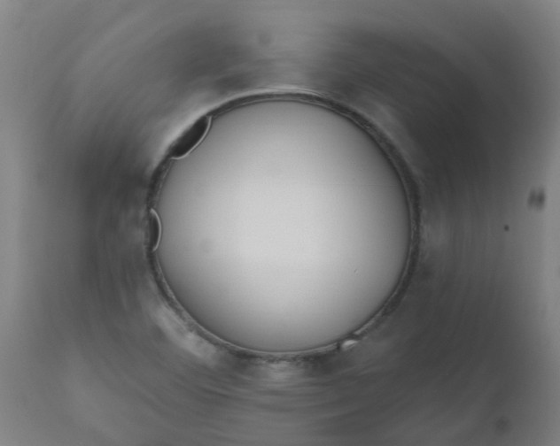 X0000112481460200909071145