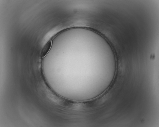 X0000112481461200909071145