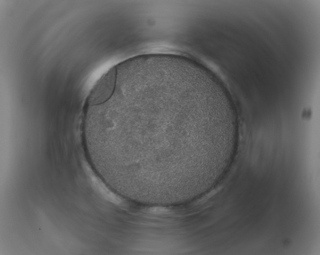 X0000112481463200909071145