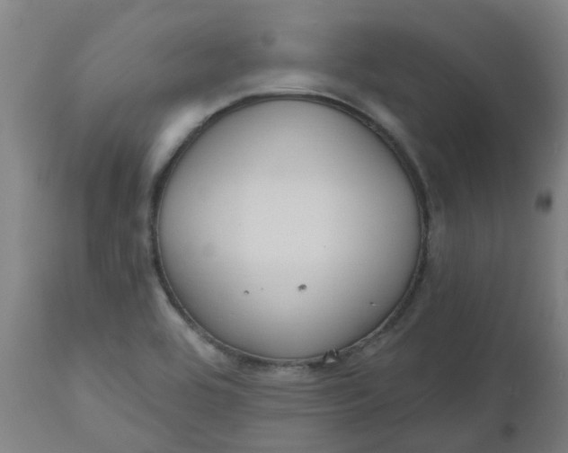 X0000112481464200909071145