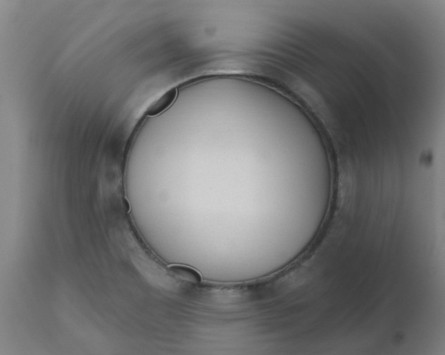 X0000112481465200909071145