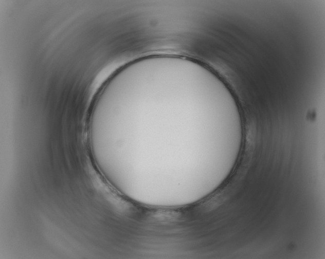 X0000112481466200909071145