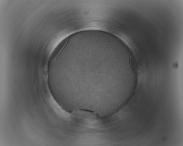 X0000112481468200909071145