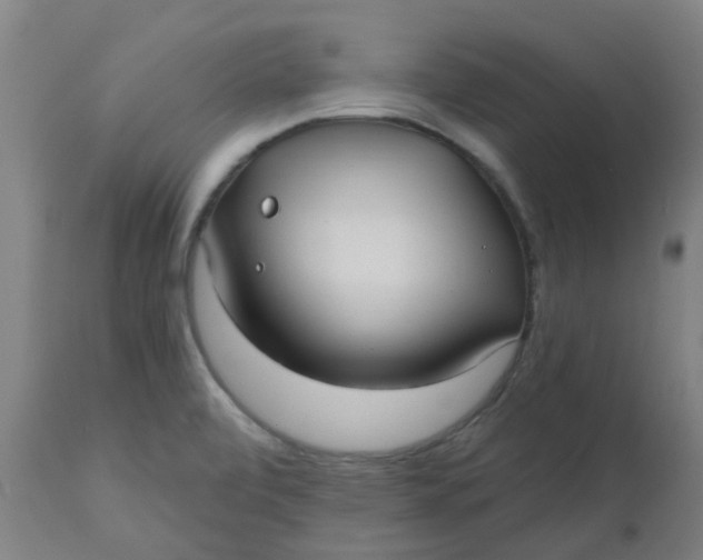 X0000112481472200909071145