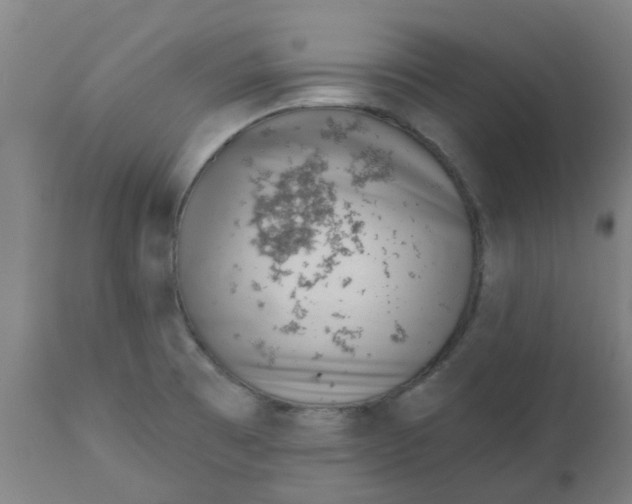 X0000112481473200909071145