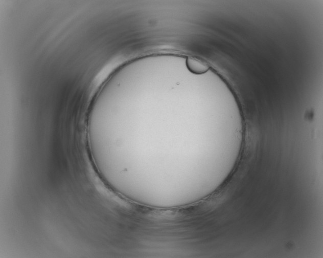 X0000112481474200909071145