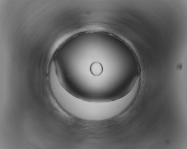 X0000112481477200909071145