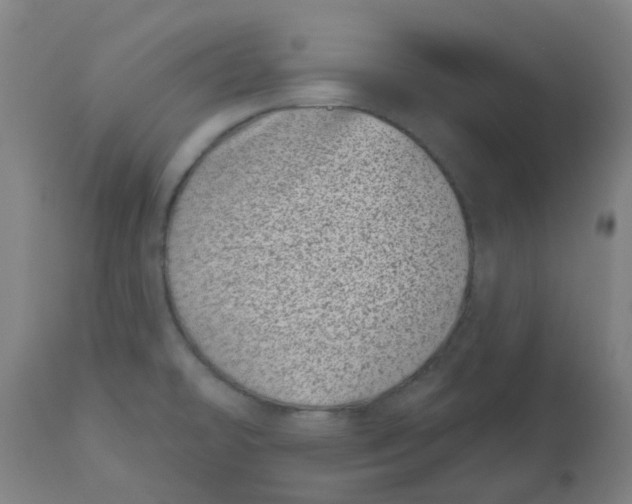 X0000112481478200909071145