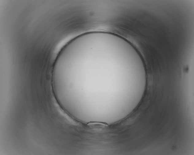 X0000112481480200909071145