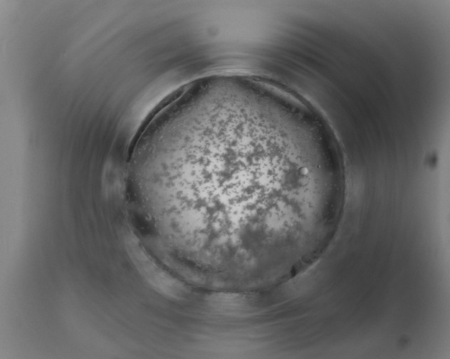 X0000112481481200909071145