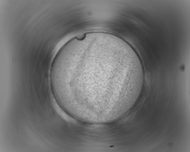 X0000112481482200909071145